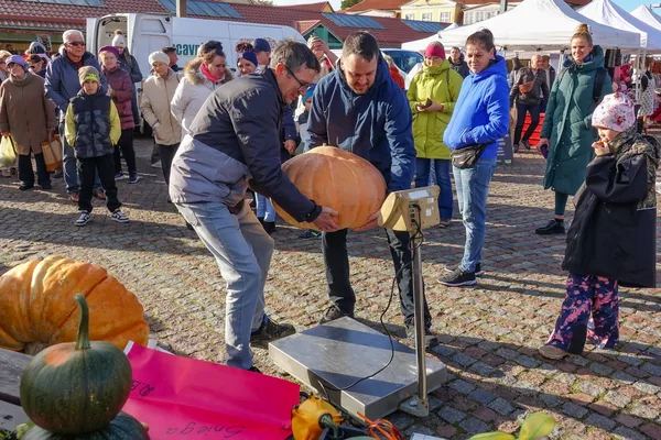 Ķirbja svētki 11.10.2025.